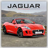 Buchcover Jaguar 2017