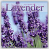 Buchcover Lavender - Lavendel 2017