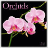 Buchcover Orchids - Orchideen 2017