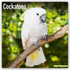 Buchcover Cockatoos - Kakadus 2020