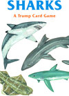 Buchcover Sharks