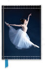 Buchcover Premium Notizbuch DIN A5: Ballerina