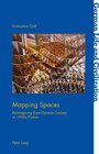 Buchcover Mapping Spaces
