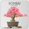 Buchcover Bonsai 2019 - 16-Monatskalender