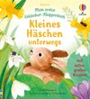 Buchcover Mein erstes Entdecker-Klappenbuch: Kleines Häschen unterwegs