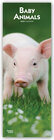 Buchcover Baby Animals 2020