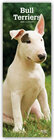 Buchcover Bull Terriers 2020