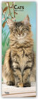 Buchcover Cats - Katzen 2020