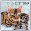 Buchcover Cats & Kittens – Katzen & Kätzchen 2024 – 16-Monatskalender