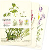 Buchcover Dreier Set Mittelformat-Notizbücher: Royal Botanic Garden Edinburgh