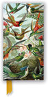 Buchcover Schmales Hardcover-Notizbuch: Ernst Haeckel, Kolibris
