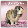 Buchcover Lop-eared Rabbits - Widderkaninchen 2024 - 16-Monatskalender