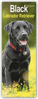 Buchcover Black Labrador Retriever - Schwarze Labrador Retriever 2024