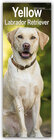Buchcover Yellow Labrador Retriever - Gelbe Labradore 2024