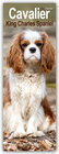 Buchcover Cavalier King Charles Spaniels 2025