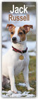 Buchcover Jack Russell – Jack Russell Terrier 2025