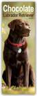Buchcover Chocolate Labrador Retriever – Schokoladenfarbener Labrador Retriever 2025