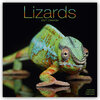Buchcover Lizards - Eidechsen 2021
