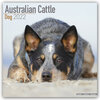 Buchcover Australian Cattle Dog - Australische Cattle Dogs 2022 - 16-Monatskalender