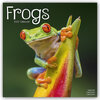 Buchcover Frogs - Frösche 2022 - 16-Monatskalender