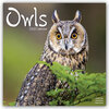 Buchcover Owls - Eulen 2022 - 16-Monatskalender