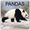 Buchcover Pandas - Pandabären 2022- 16-Monatskalender