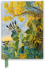 Buchcover Premium Notizbuch DIN A5: Marianne North, Die Blüten des Flammenbaums – Kew Garden