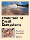 Buchcover Evolution of Fossil Ecosystems