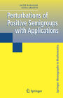 Buchcover Perturbations of Positive Semigroups with Applications