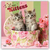 Buchcover I love Kittens - Ich liebe Kätzchen 2021- 16-Monatskalender