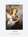 Buchcover Gabriel L'Ange Merveilleux