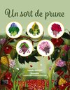 Buchcover Un sort de prune