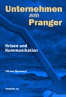 Buchcover Unternehmen am Pranger
