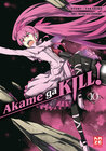 Buchcover Akame ga KILL! 10