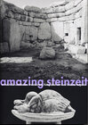Buchcover amazing steinzeit