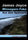 Buchcover Winnegans Fake