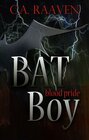 Buchcover BAT Boy 2