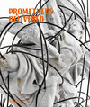 Buchcover Prometheus Delivered