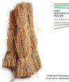 Buchcover Landwirtschaftsmuseum Weil am Rhein