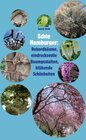 Buchcover Echte Hamburger: Rekordbäume, eindrucksvolle Baumgestalten, blühende Schönheiten evtl.: Untertitel: