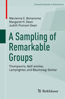Buchcover A Sampling of Remarkable Groups