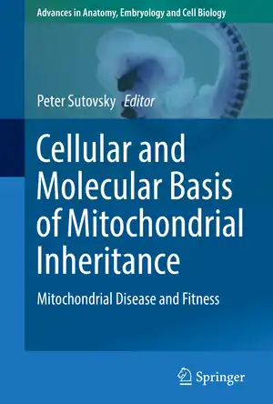 Buchcover ISBN 9783030045692