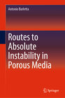 Buchcover Routes to Absolute Instability in Porous Media