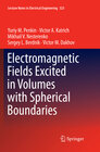 Buchcover Electromagnetic Fields Excited in Volumes with Spherical Boundaries