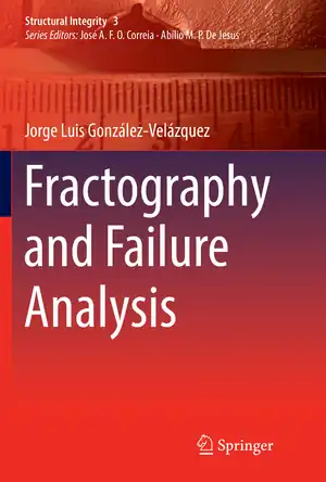 Buchcover ISBN 9783030095451