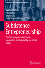Buchcover Subsistence Entrepreneurship