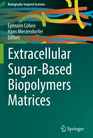 Buchcover ISBN 9783030129217