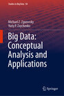 Buchcover Big Data: Conceptual Analysis and Applications