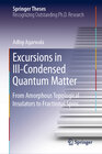 Buchcover Excursions in Ill-Condensed Quantum Matter