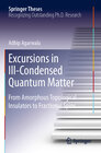 Buchcover Excursions in Ill-Condensed Quantum Matter